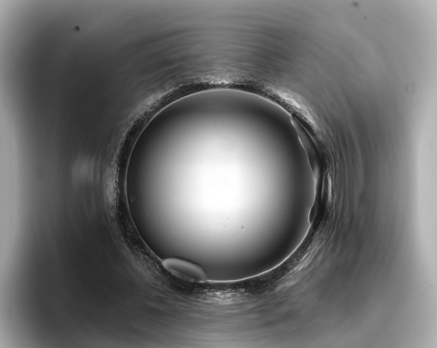 X0000096710540200802051423