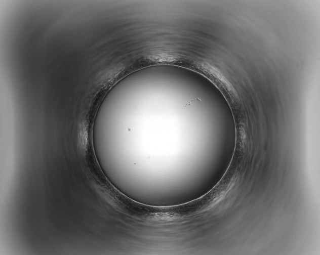 X0000096710541200802051423