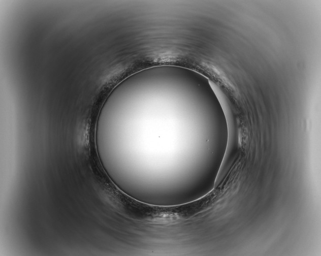 X0000096710543200802051423