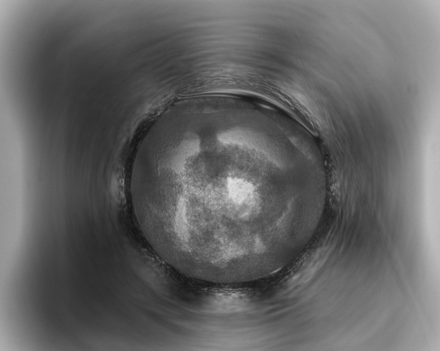 X0000096710547200802051423