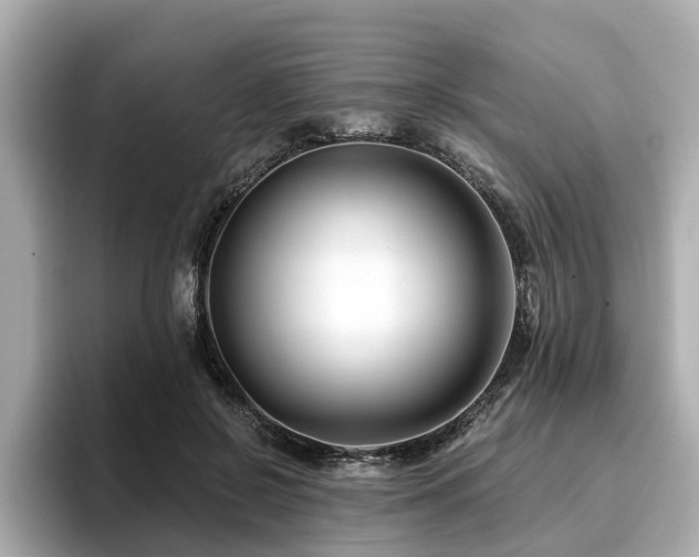 X0000096710550200802051423