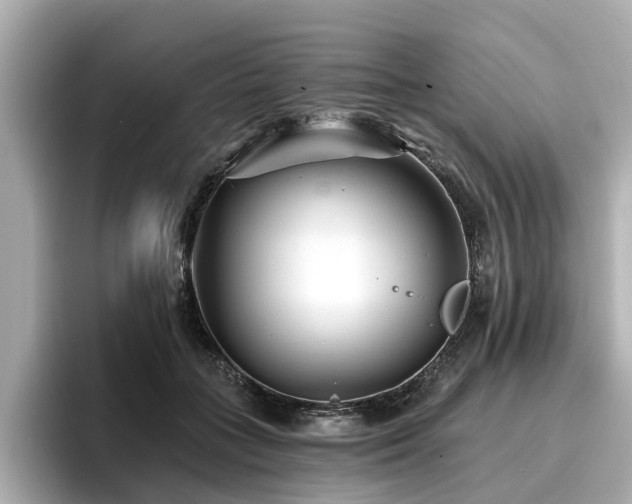 X0000096710555200802051424