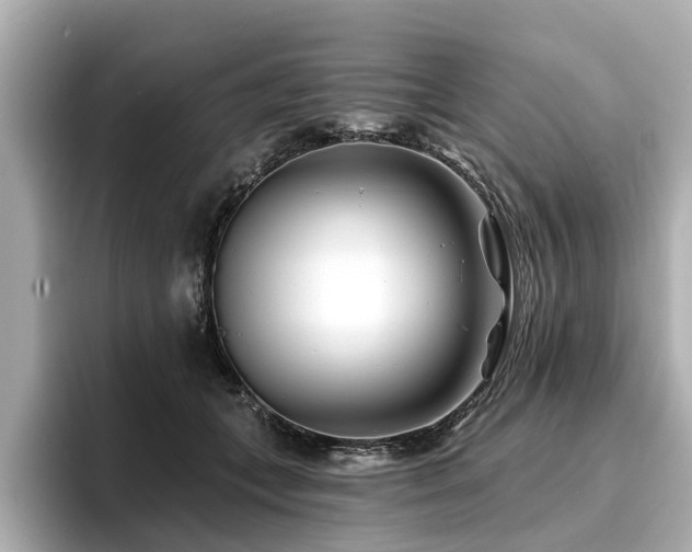 X0000096710559200802051424