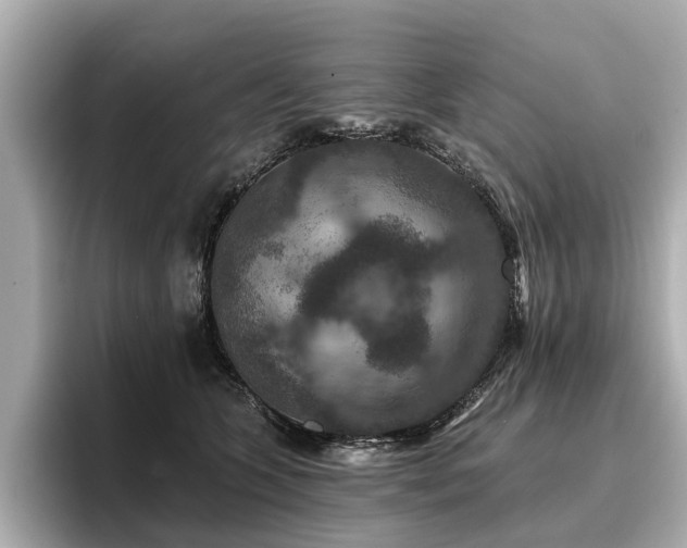 X0000096710563200802051424