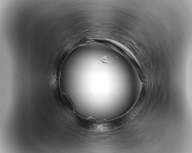 X0000096710564200802051424