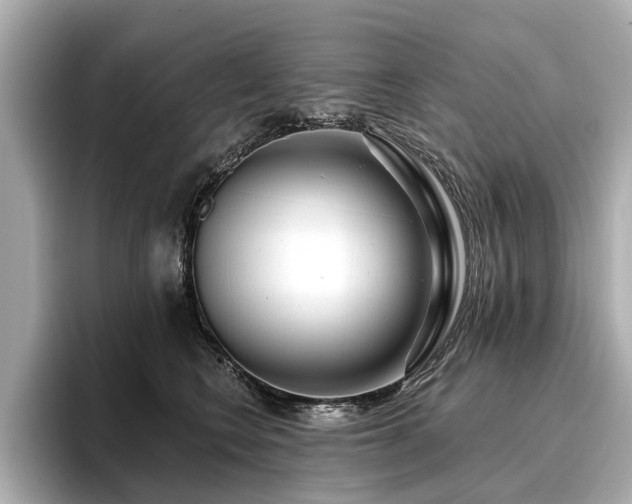 X0000096710566200802051424