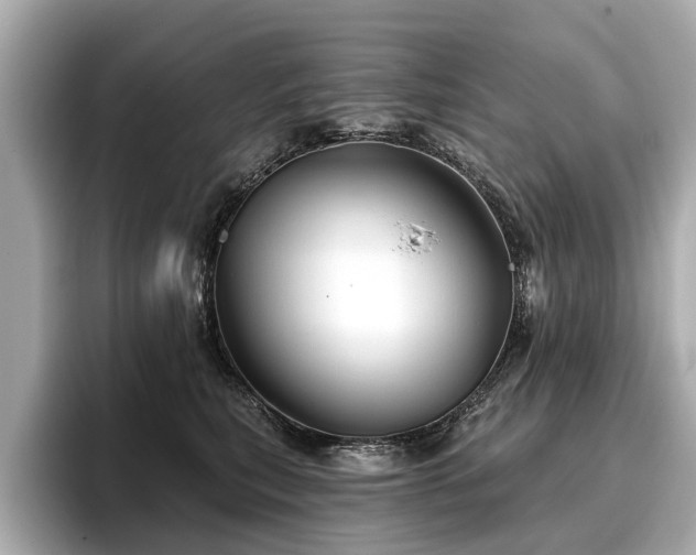 X0000096710567200802051424