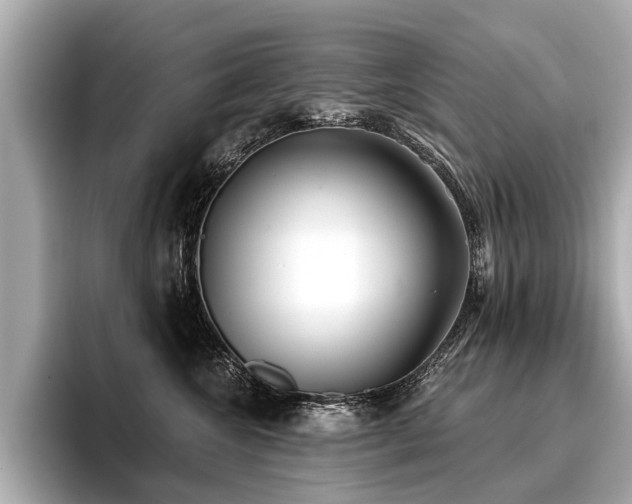 X0000096710572200802051424