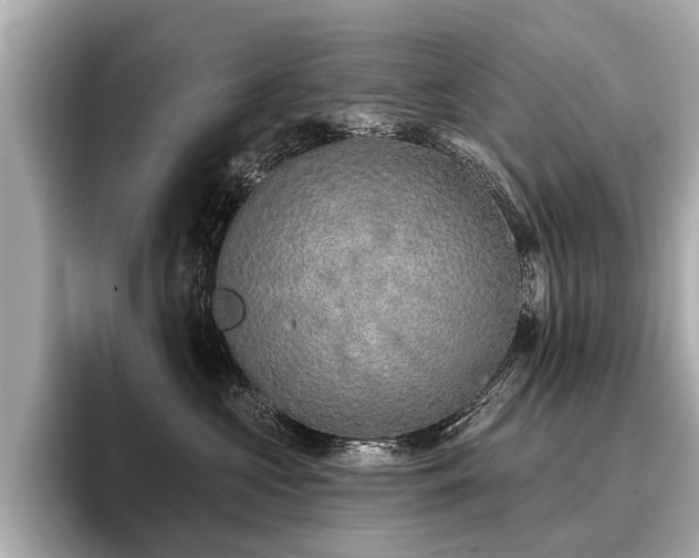 X0000096710573200802051424