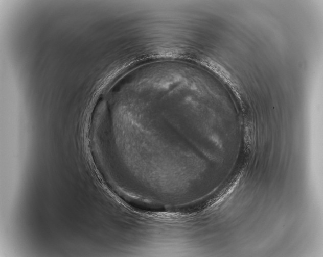 X0000096710577200802051423