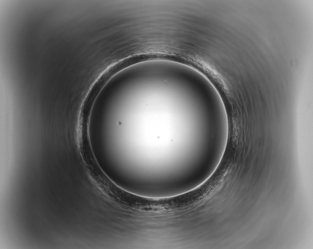 X0000096710580200802051423