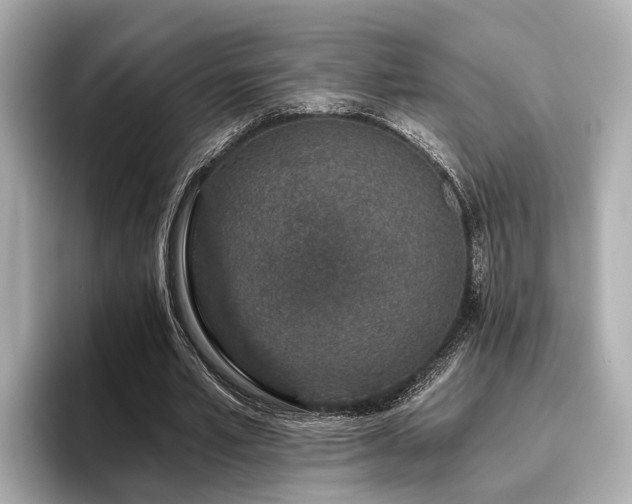 X0000096710581200802051423