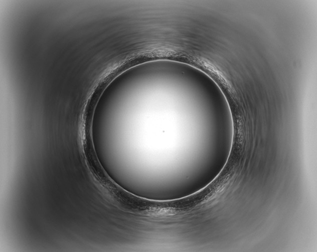 X0000096710582200802051423