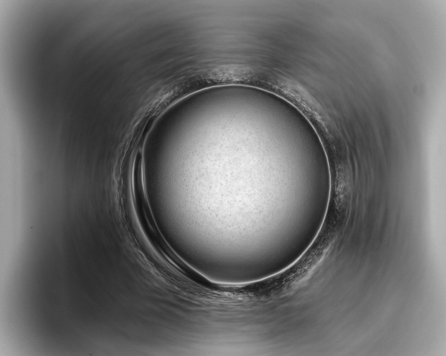 X0000096710585200802051423