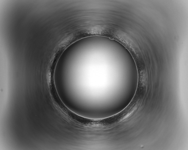 X0000096710589200802051423