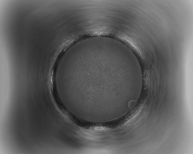 X0000096710590200802051423