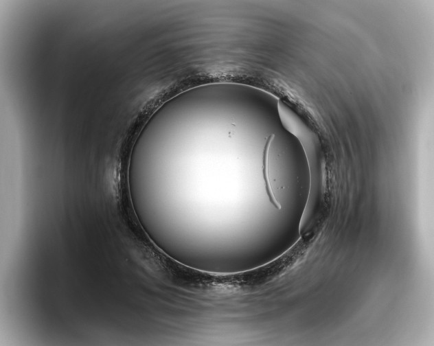 X0000096710592200802051423