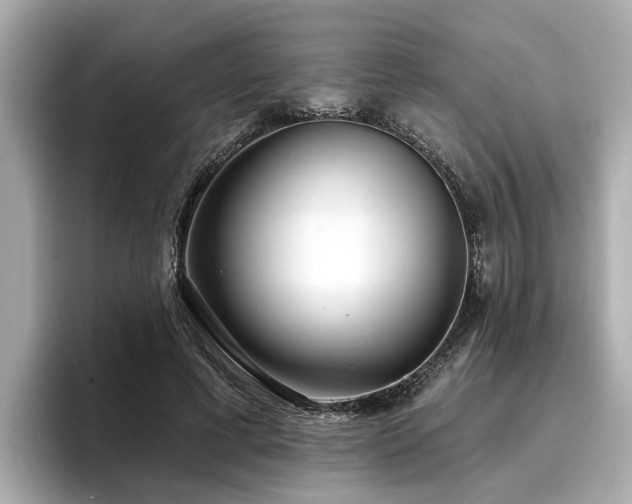 X0000096710593200802051423