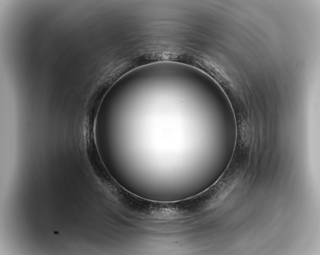 X0000096710594200802051423