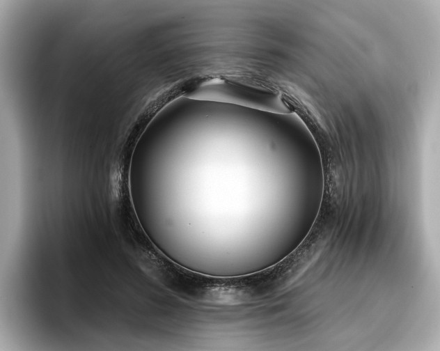 X0000096710596200802051423