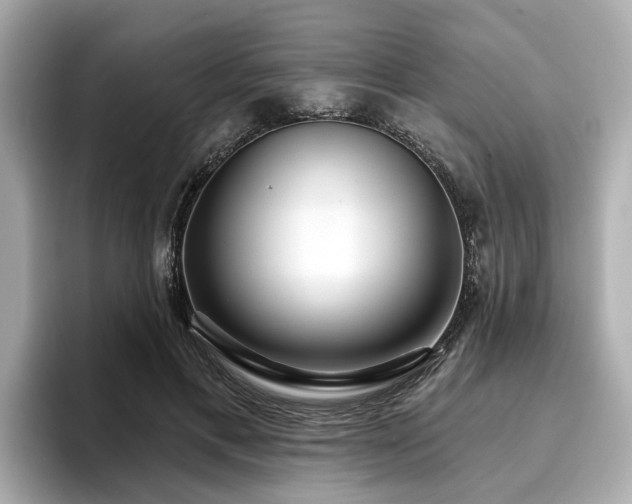 X0000096710597200802051423