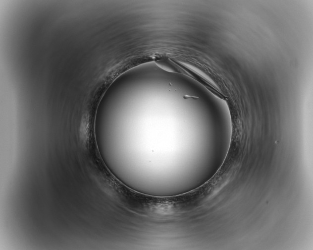 X0000096710600200802051423