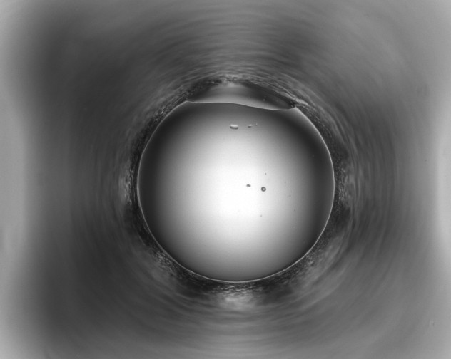 X0000096710604200802051423