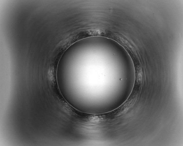 X0000096710616200802051423