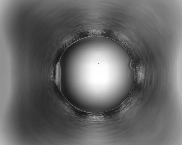 X0000096710619200802051422