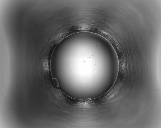 X0000096710620200802051422