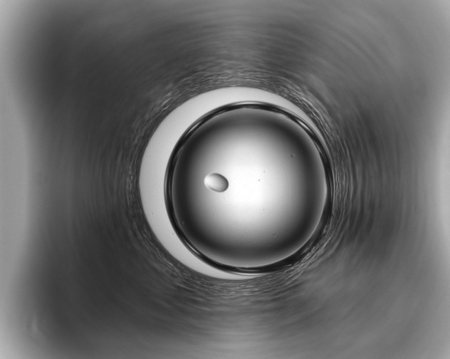 X0000096710621200802051422