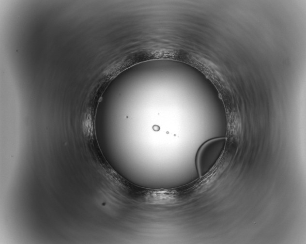 X0000096710622200802051422