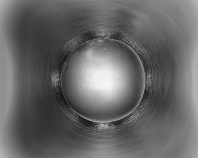 X0000096710623200802051422