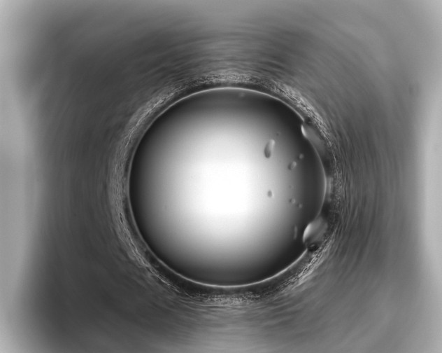 X0000096710625200802051422