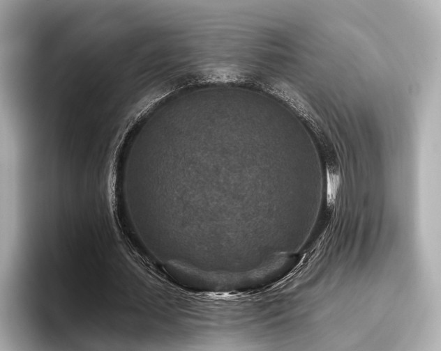 X0000096710627200802051422