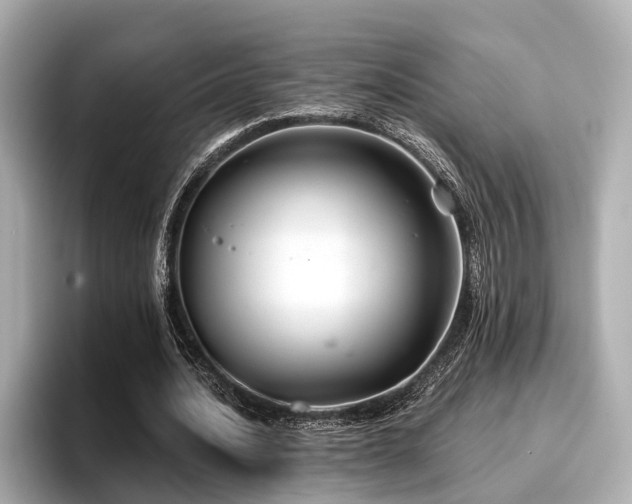 X0000096710628200802051422