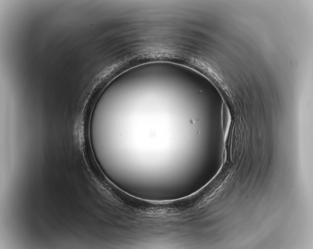 X0000096710629200802051422