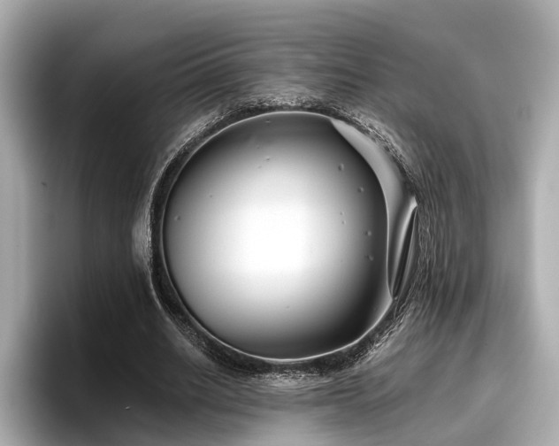 X0000096710630200802051422