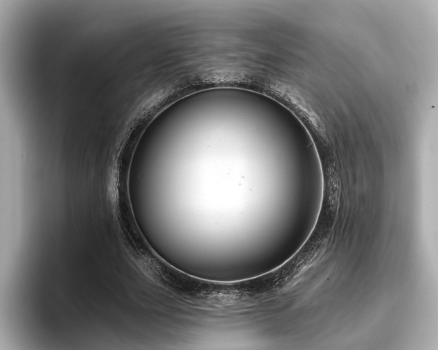 X0000096710631200802051422