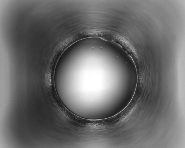 X0000096710633200802051422