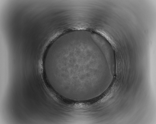 X0000096710634200802051422