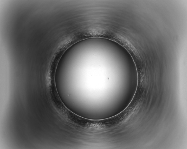 X0000096710635200802051422