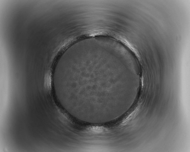 X0000096710637200802051422