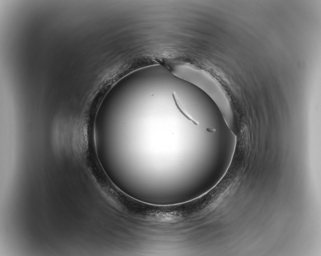 X0000096710638200802051422