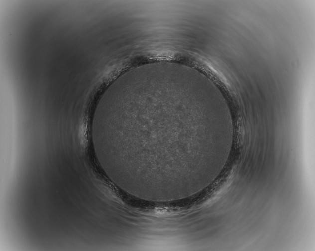 X0000096710641200802051422