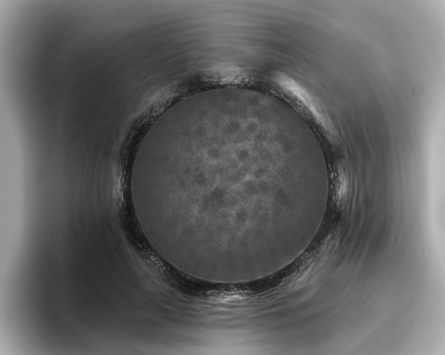 X0000096710643200802051422