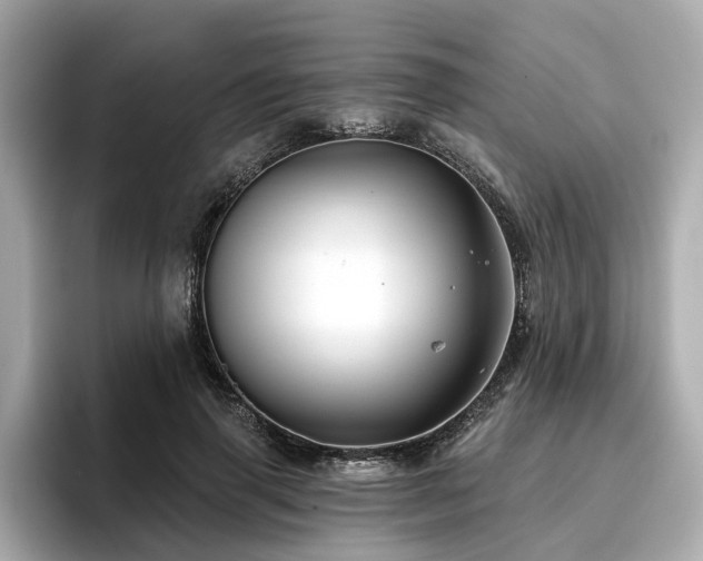 X0000096710645200802051422