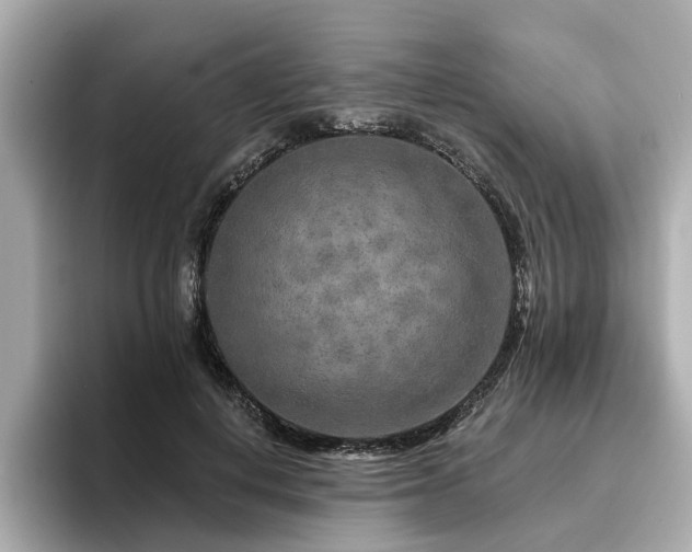 X0000096710648200802051422