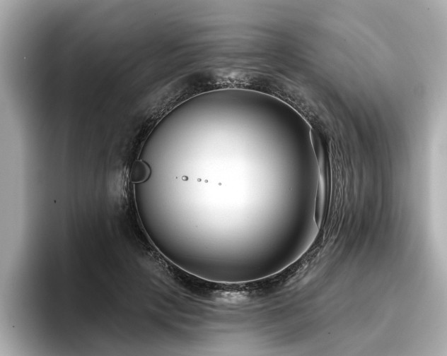 X0000096710649200802051422