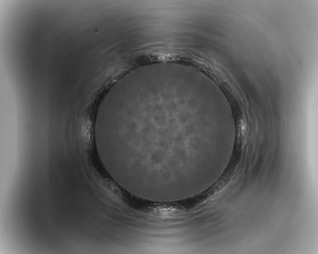 X0000096710650200802051422